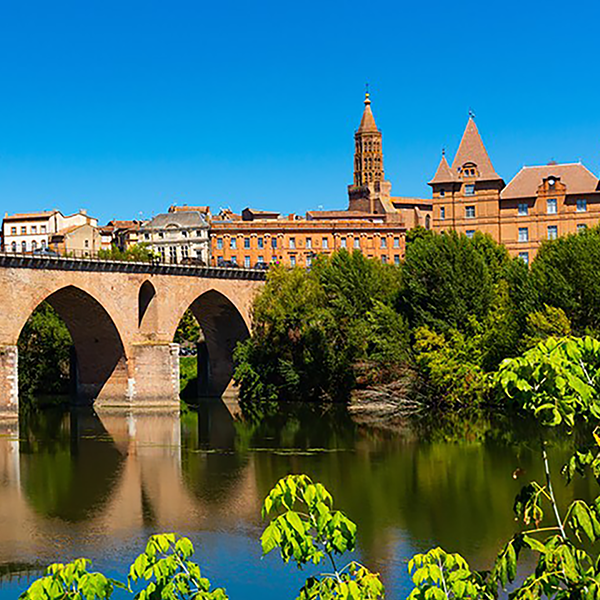 judo_montauban